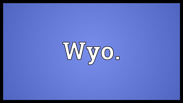 What Does WYO Mean in Text?