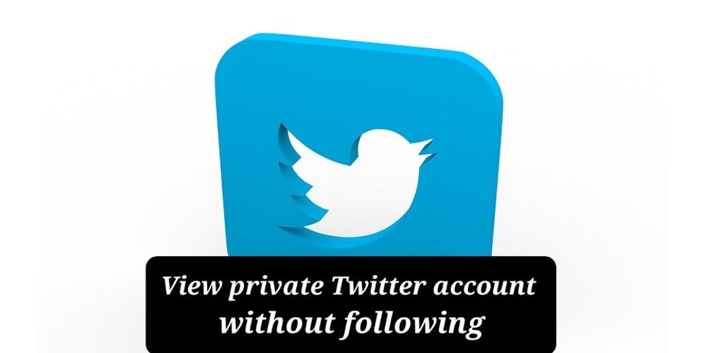how to view private twitter account without following