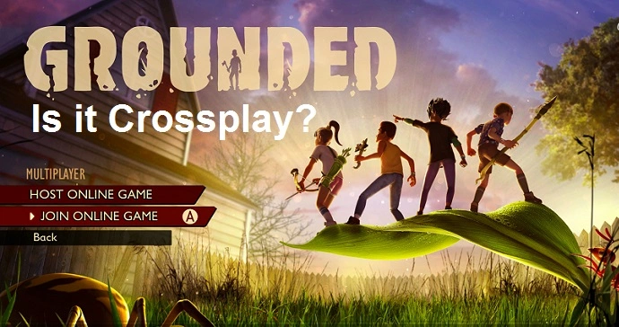 is-grounded-cross-play