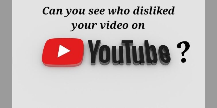 Can You See Who Disliked Your Video On YouTube