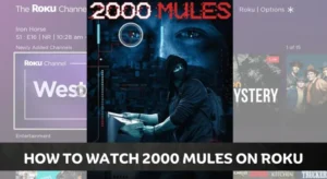 How to Stream 2000 Mules on Roku